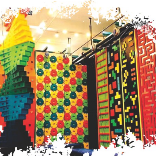 XY09701 Sunflower climbing